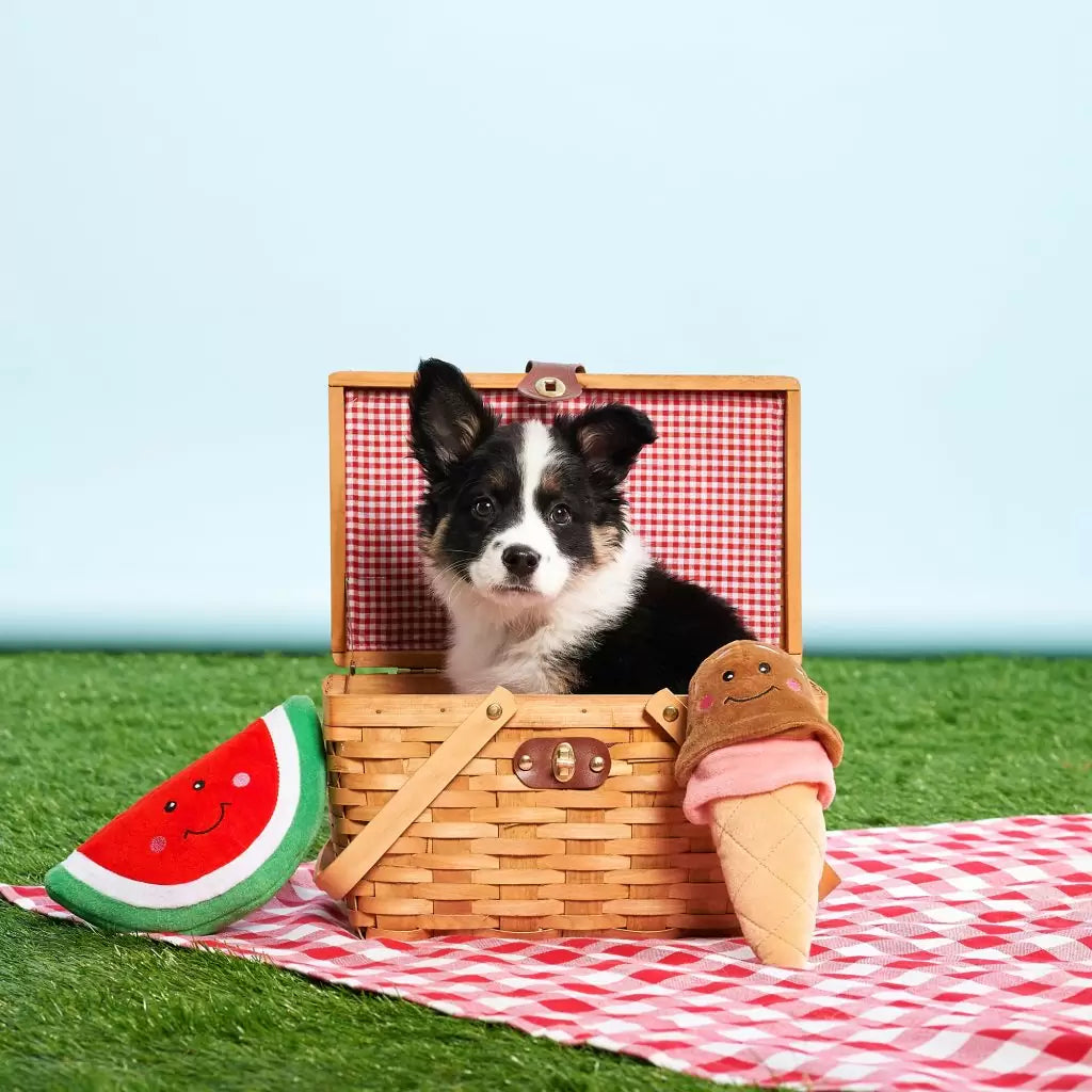 ZippyPaws Squeaky Plush Watermelon Dog Toy