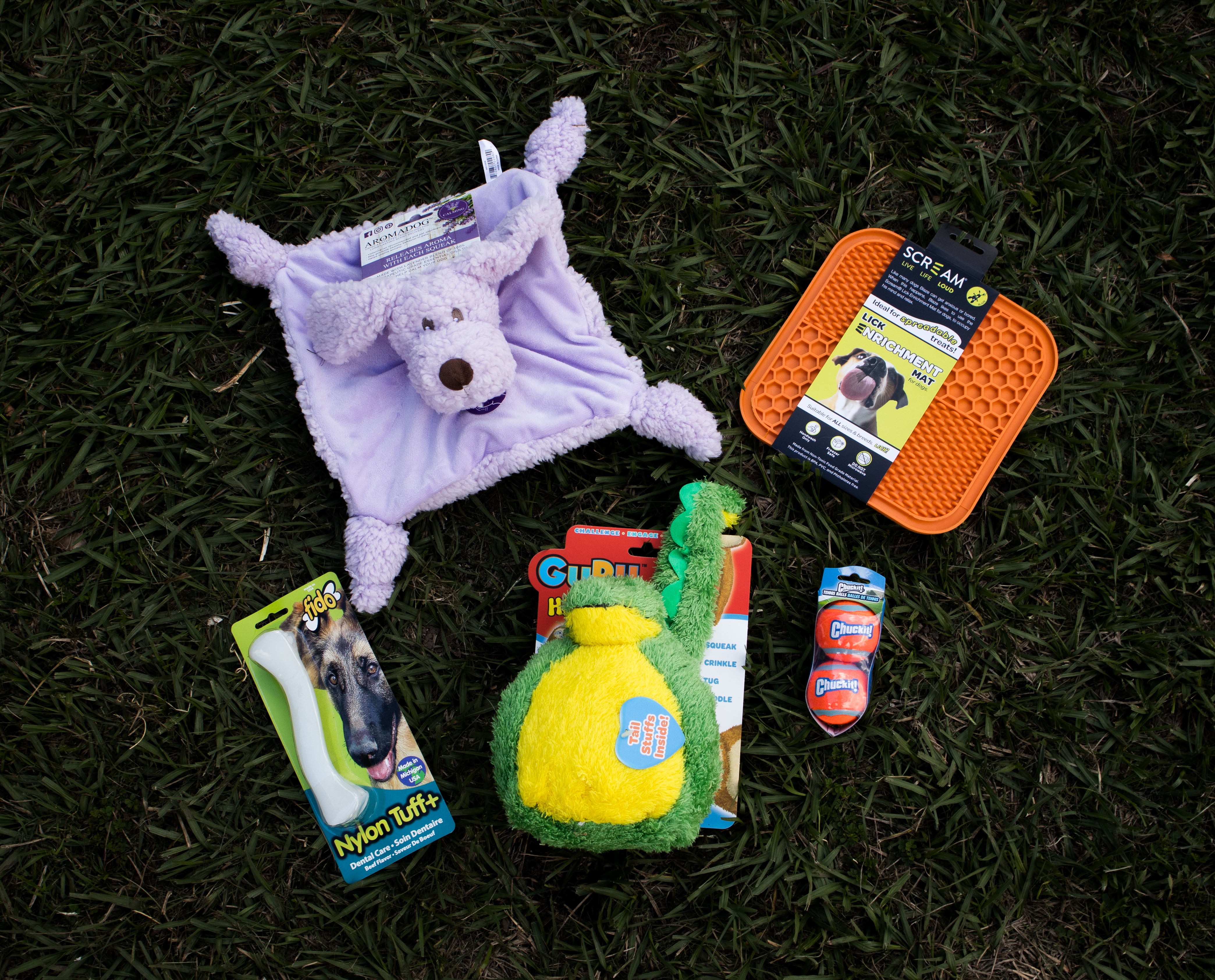 Flat-Faced Feeding & Enrichment Kit